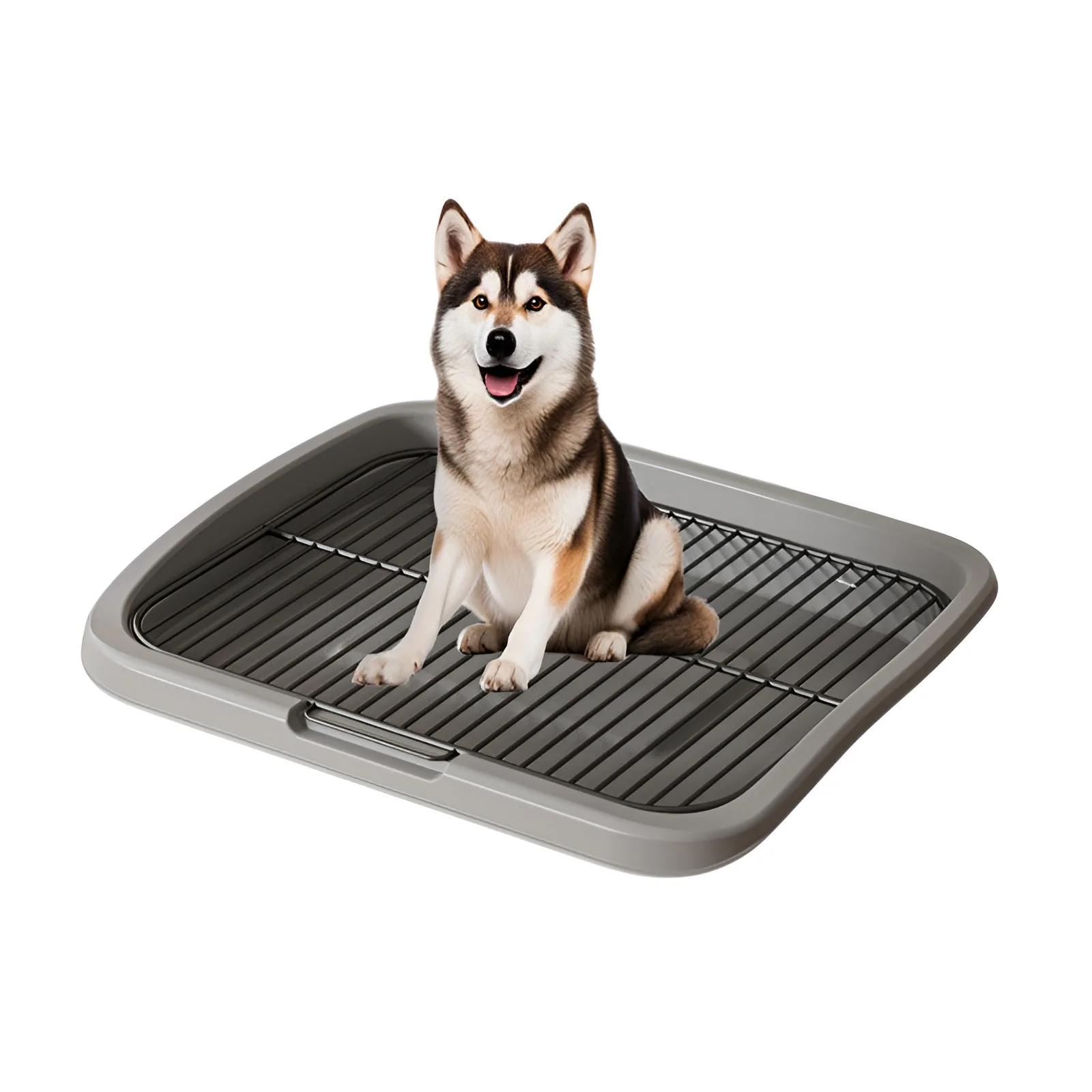 24kg-Gray