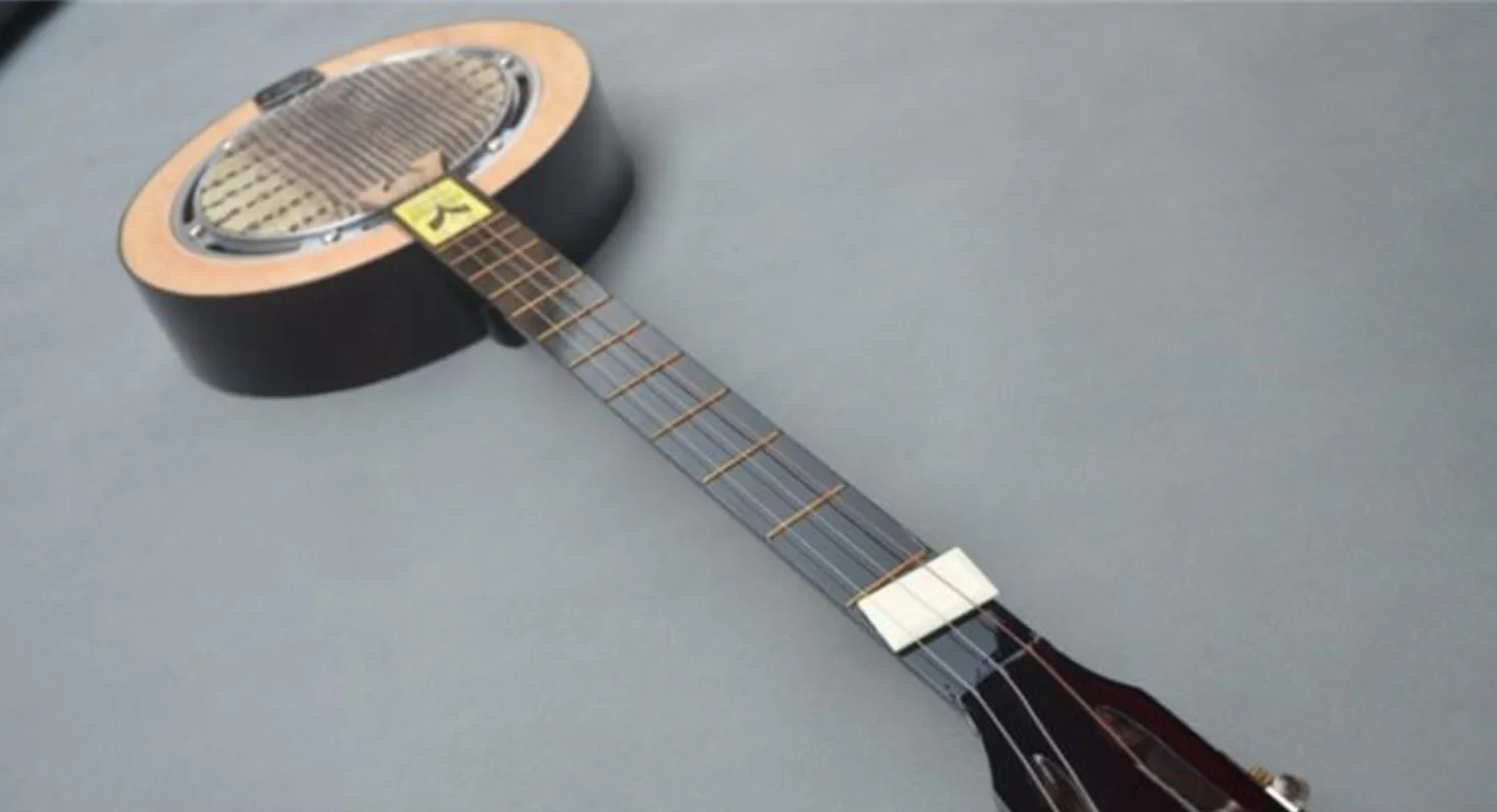 Qinqin Chinese plucked stringed instruments