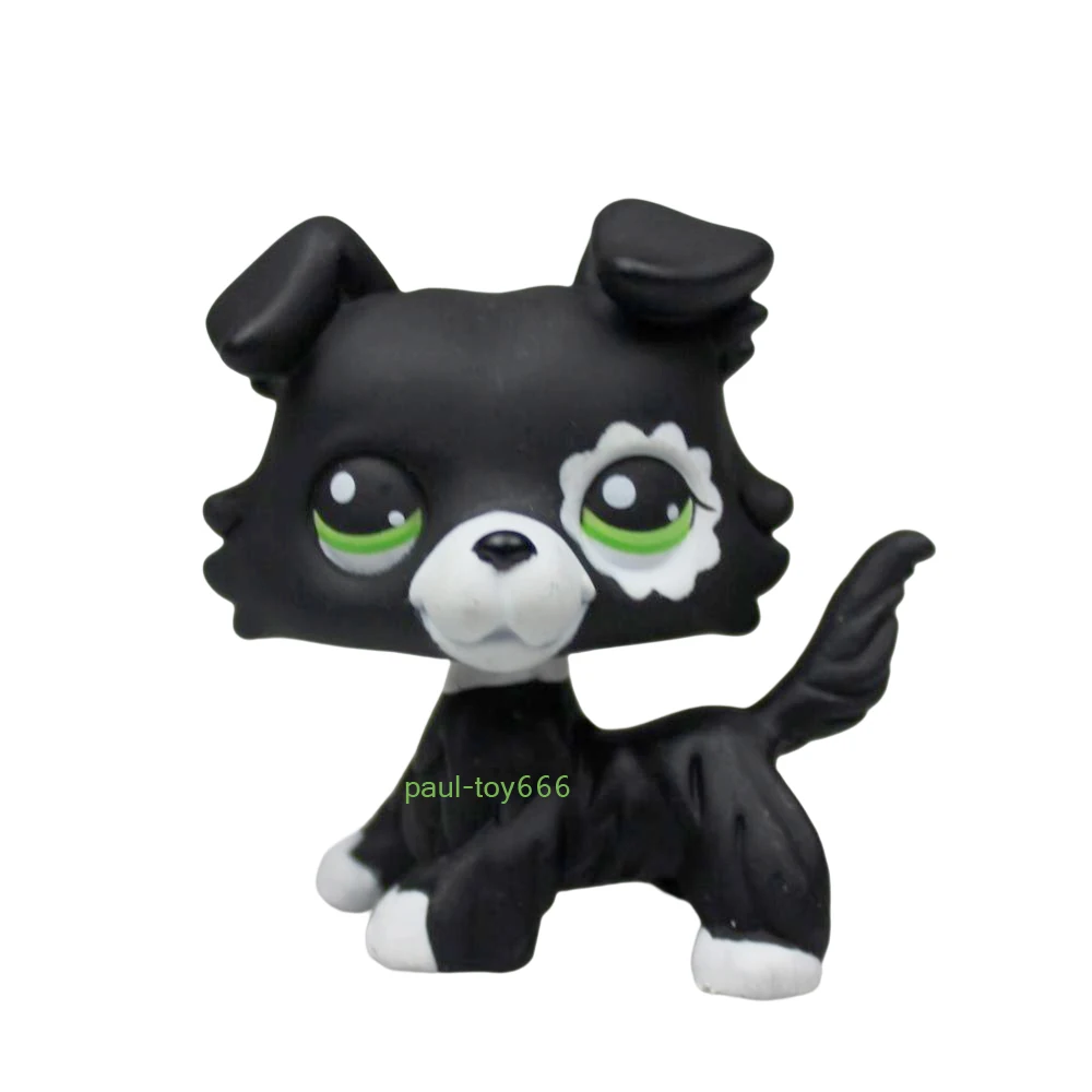 YASMINE-Pet-Shop-Black-White-Collie-Dog-OOAK-FigurePet-lps-023.jpg