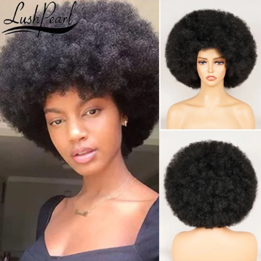 Afro Kinky Curly Wig Short Fluffy Hair With Bangs Deep Brown Wig For Black Woman African Synthetic Party Cosplay Wigs Perruque
