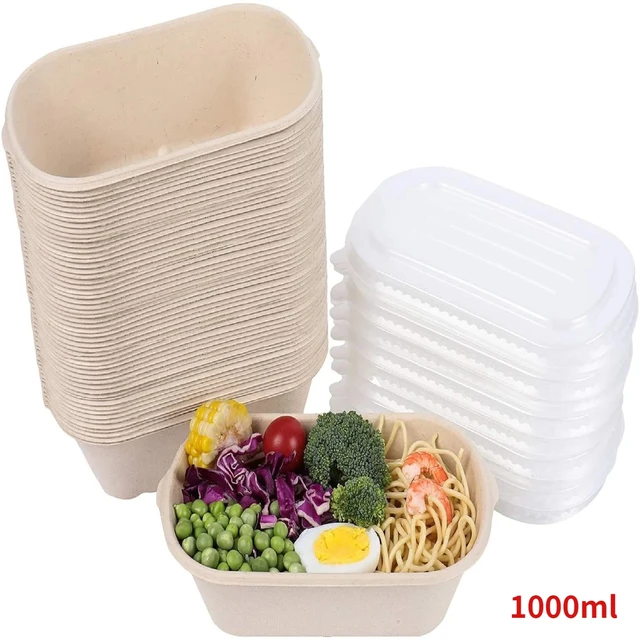 Food Container Disposable Biodegradable  Biodegradable Take Containers -  10/20/30pcs - Aliexpress