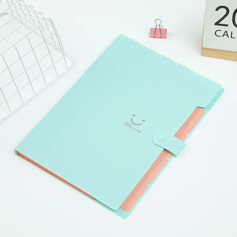 5 포켓 확장 폴더, 라벨이 있는 귀여운 파일 폴더, 학교 사무실 용품, 휴대용 파일 관리자, 문서 폴더