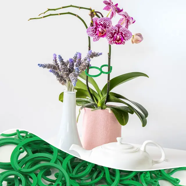 100/200 Pcs Kerti Növényi Paradicsom Klipek Szőlővirág Támogatják A Kötő Nyakkendő Növekedését Rögzítő Eszköz - Image 3