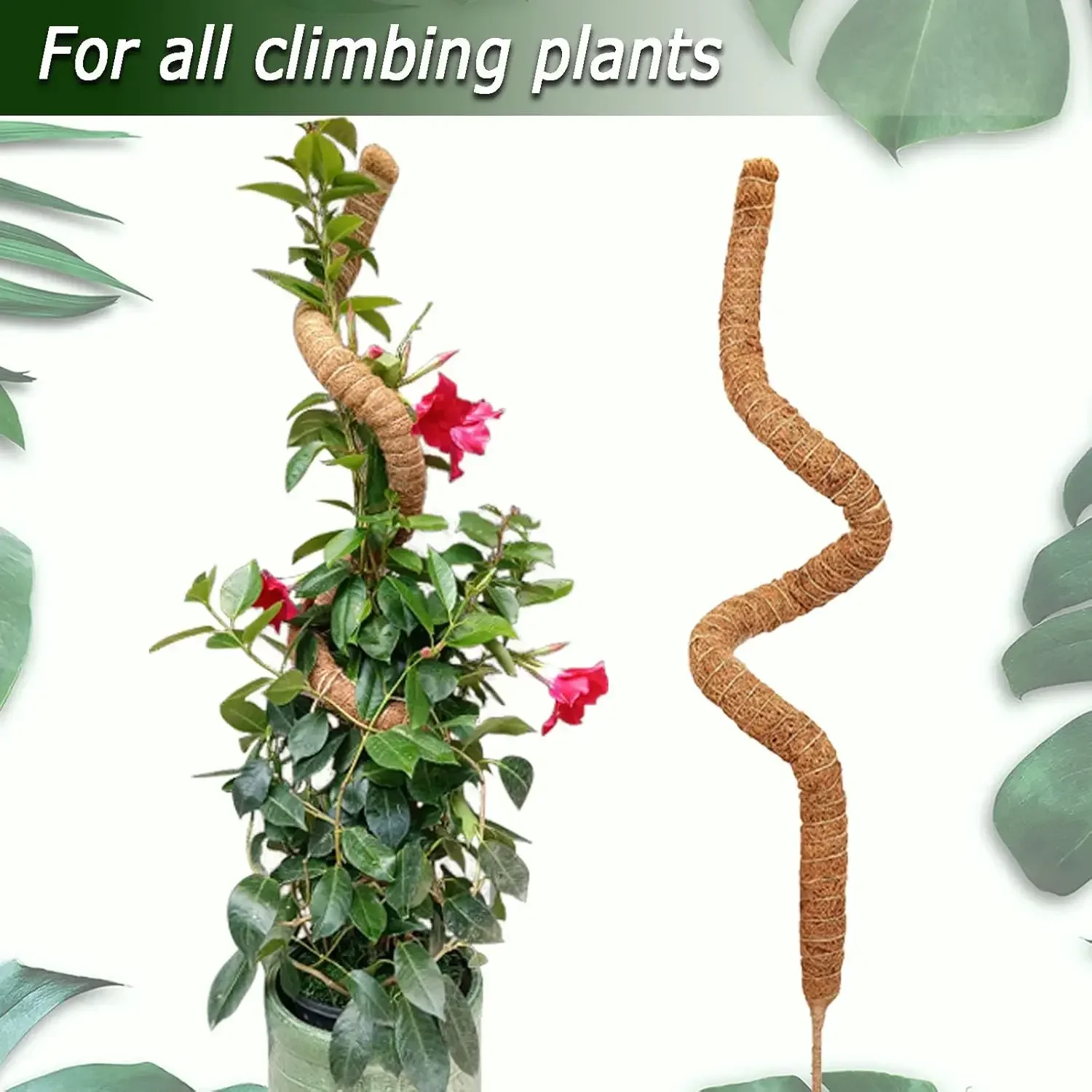 Soupiar Moss Poles Bendable Climbing Support