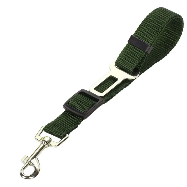 Image 21