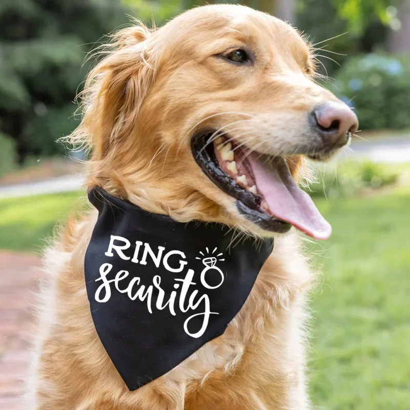 Ring Security Dog Puppy Bandana Wedding day Engagement Announcement ...