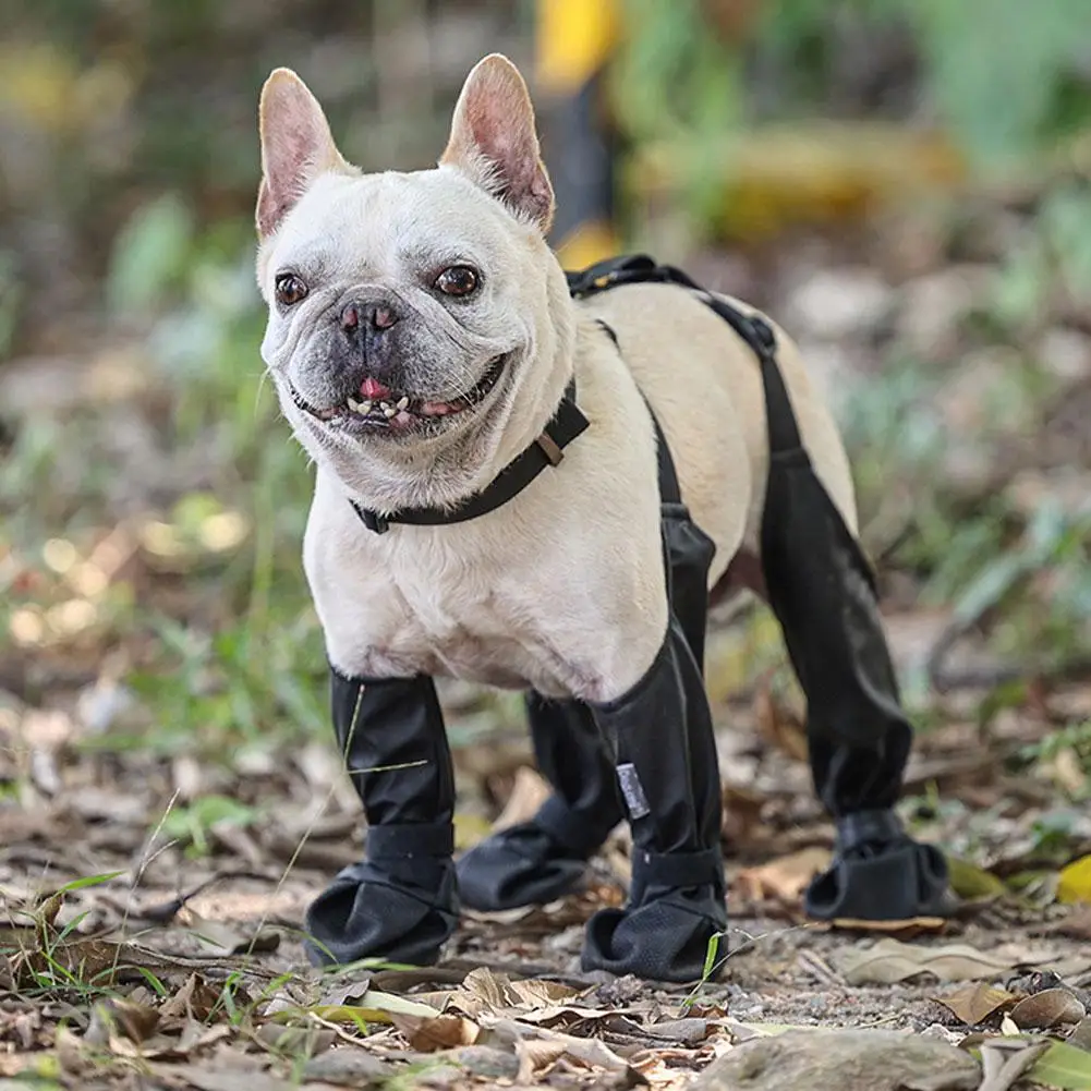 Title 8, Waterproof Dog Shoes Anti-Slip Pet Paw Protecto...