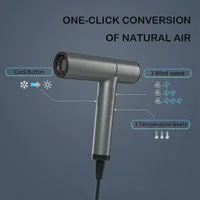 Brushless Motor 110000rpm Hair Dryer Professional Negative Ion Air Blower Fast Drying Constant Temperature Salon Hair Tools 2