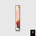 B No Frame
