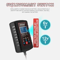 6V12V 2A battery charger is suitable for most types of lead-acid batteries, including calcium, gel and AGM, wet, EFB battery cha - Image 6