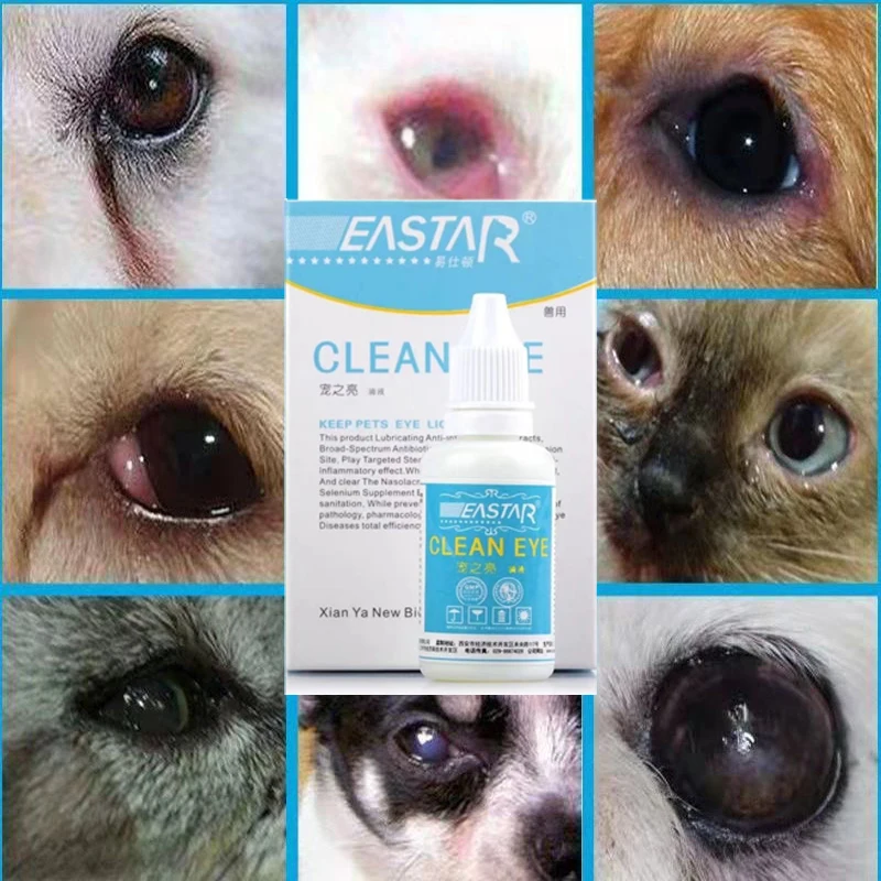 Drops Remove Cataracts Eyes Eye Drops Dog Cataracts Eye Drops Pets 