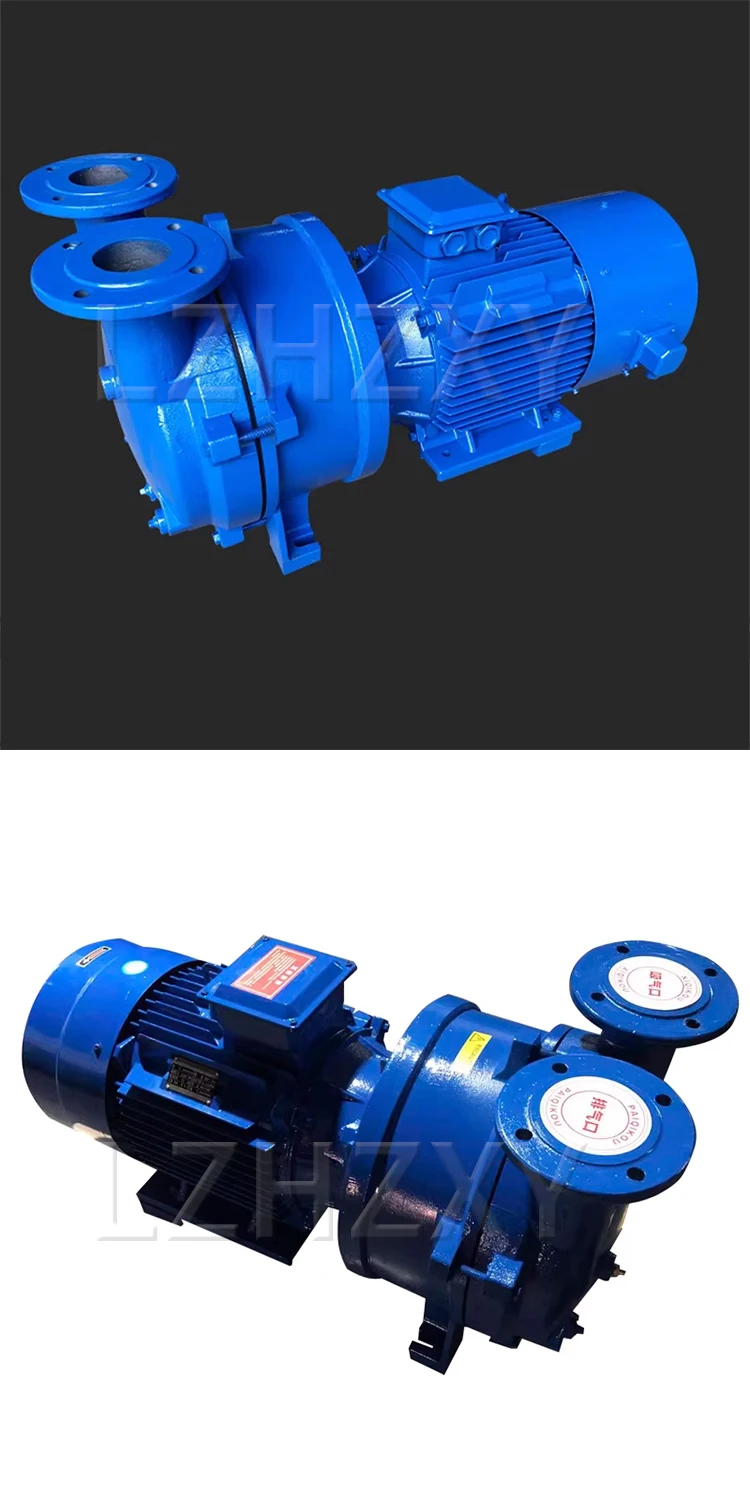 3300Pa Water Ring Vacuum Pump: Industrial-Grade High-Vacuum Water Circulation, Suitable for Evacuating Gases and Hum(Customized)