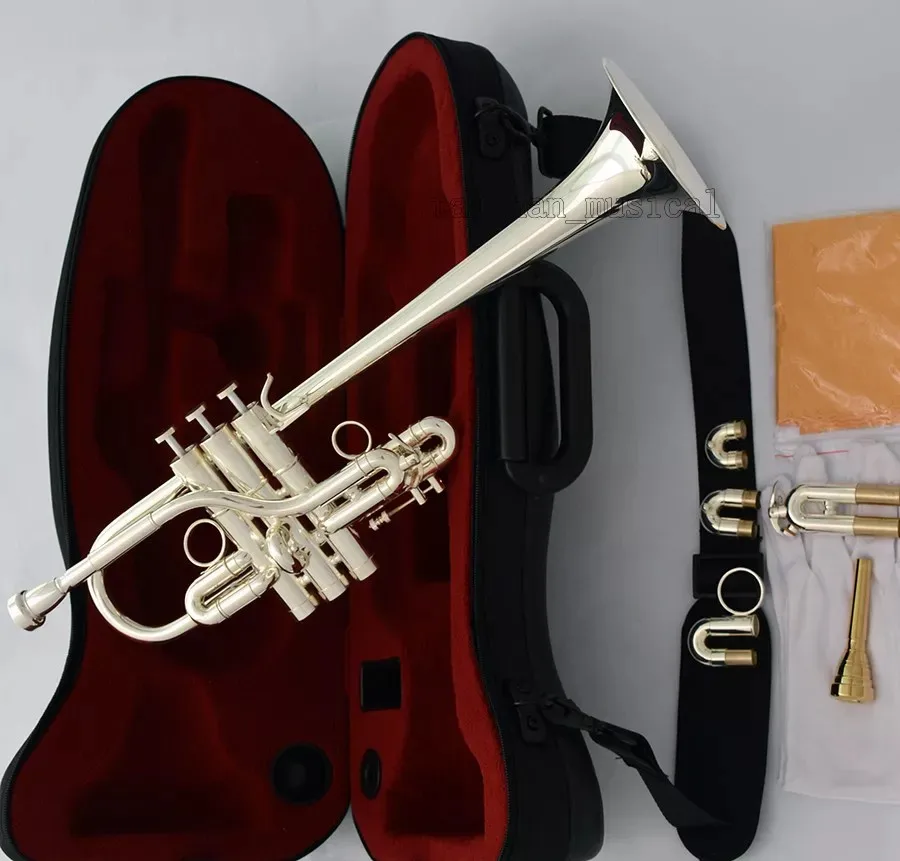 Professional Eb/D Trumpet Silver Horn Monel Valve + Gold Plated Mouth with Case
