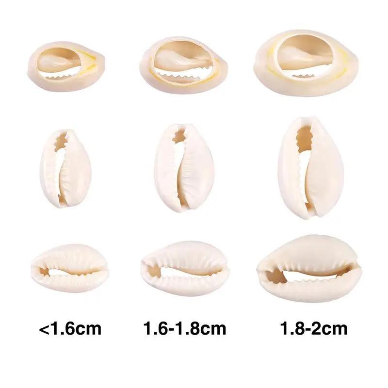 Natural Shell Ornaments 10-50pcs Small Bulk Cut Strand Sea Conch Beads Cowry Cowrie Jewelry Craft Holes DIY Bracelet For Women