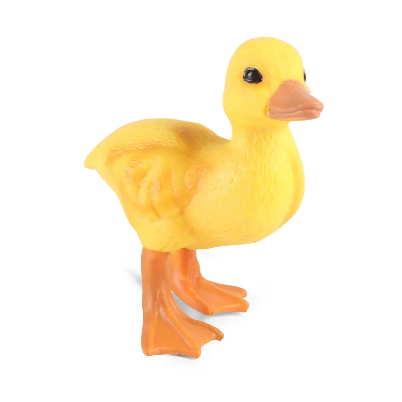 

Early childhood education simulation animal little yellow duck model toy poultry farm ducks ducks plastic ornaments hand-made