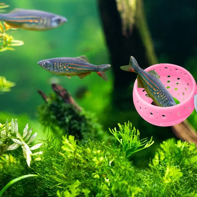 Betta Tunnel Aquarium Cave With Safe Hollow Design Red Shrimp Live Plants Fish Tank Holder Hammock Planter Small Fish And Shrimp