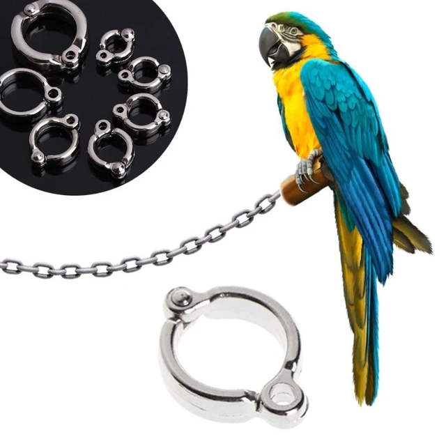 F92B Bird Foot Rings Metal Parrot Leg Ring Outdoor Fly Training Active Opening Clip Accessories for Small Large Birds 4