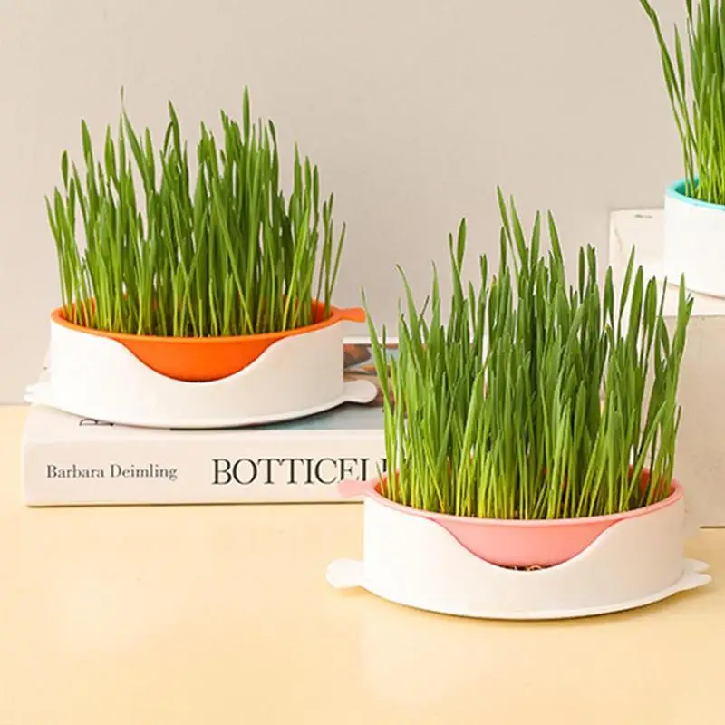 

Hydroponic Cat Grass Planter Catnip Planter Growing Kit Soilless Fish Shape Planting Mesh Box Tray For Cact Dog Pet Accessories