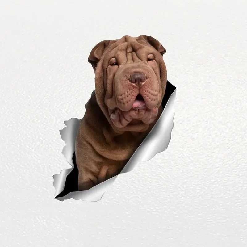 Classic Design Car Stickers funny decals Dog Pet Animal Waterproof Reflective Sunscreen Vinyl Decal Car Accessories Decor