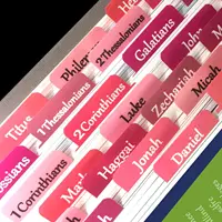 Rose Pink Bible Tabs Large Print Laminated Bible Tabs for Women and Girls Easy to Read Bible Book Tabs for Study Bible Index Tab 1