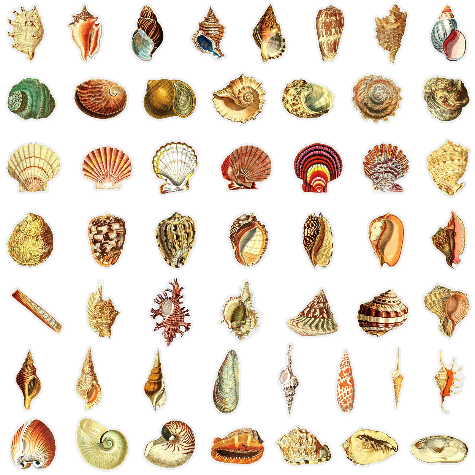 50/100Pcs 다양한 HD 쉘 스티커, PET 투명 방수 컵 스케이트 헬멧 스크랩북 기타 피아노 전화 문구 상자 데칼