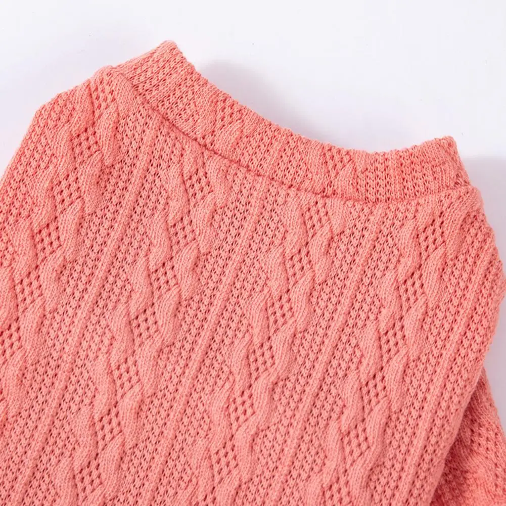 

Round Neck Pet Sweater Cozy Pet Sweater Comfortable Round Neck Design for Cats Small Dogs Autumn Winter Lightweight Solid Color