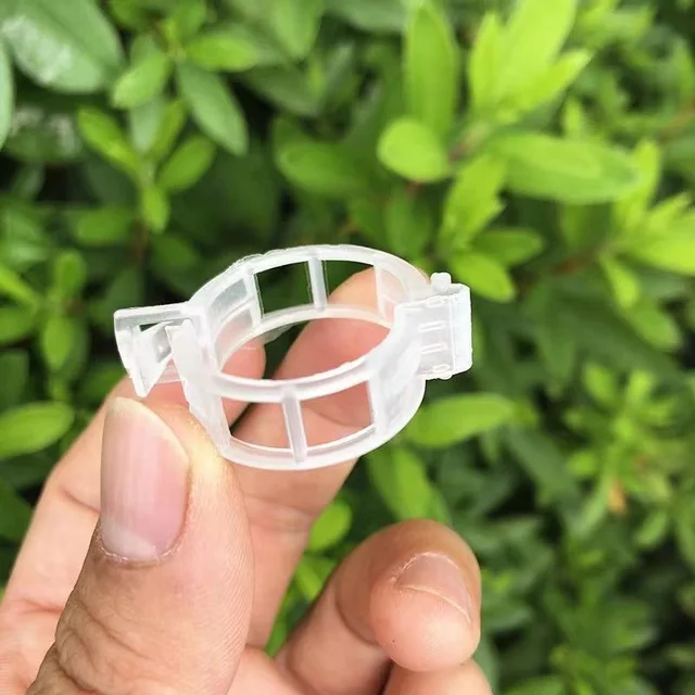 50-300Pcs Plastic Plant Support Clips Reusable Plastic Ties Trellis Stake Clips Greenhouse Holder for Garden Tools Accessories 5