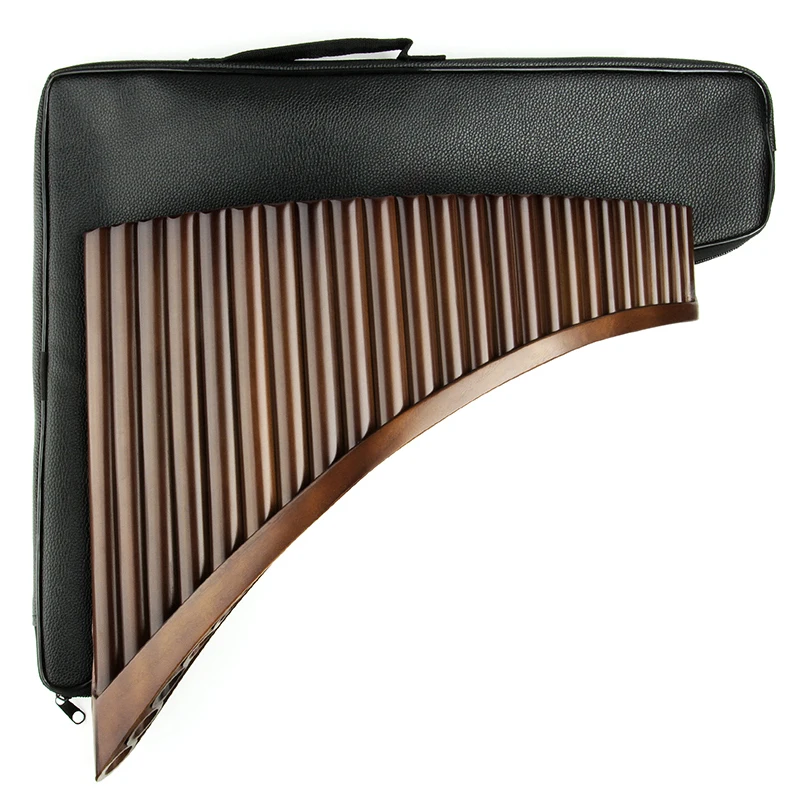 Flauto Di Pan In ABS - Strumento Musicale 16 Tubi Chiave Do, Facile Da Suonare Per Adulti E Bambini Con Borsa Inclusa (Nero)