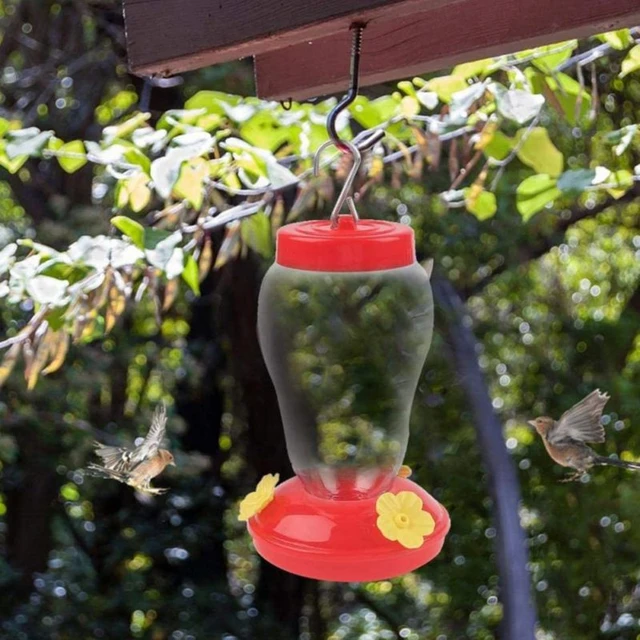 Mangeoire De Fenêtre Pour Oiseaux Sauvages Tableau Suspendu D