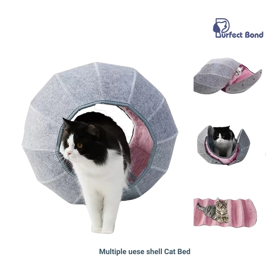 

Cute Shell Cat Bed House Indoor, Cat Toys Ball Interactive - Soft Cat Cave & Foldable Pet Tunnel Tube Condos, Multi-Function