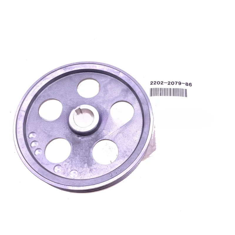 2 Pz/Lotto Ceccato 2202207986 Vite Puleggia Originale Puleggia 2 Gole Spa/A Dp.250