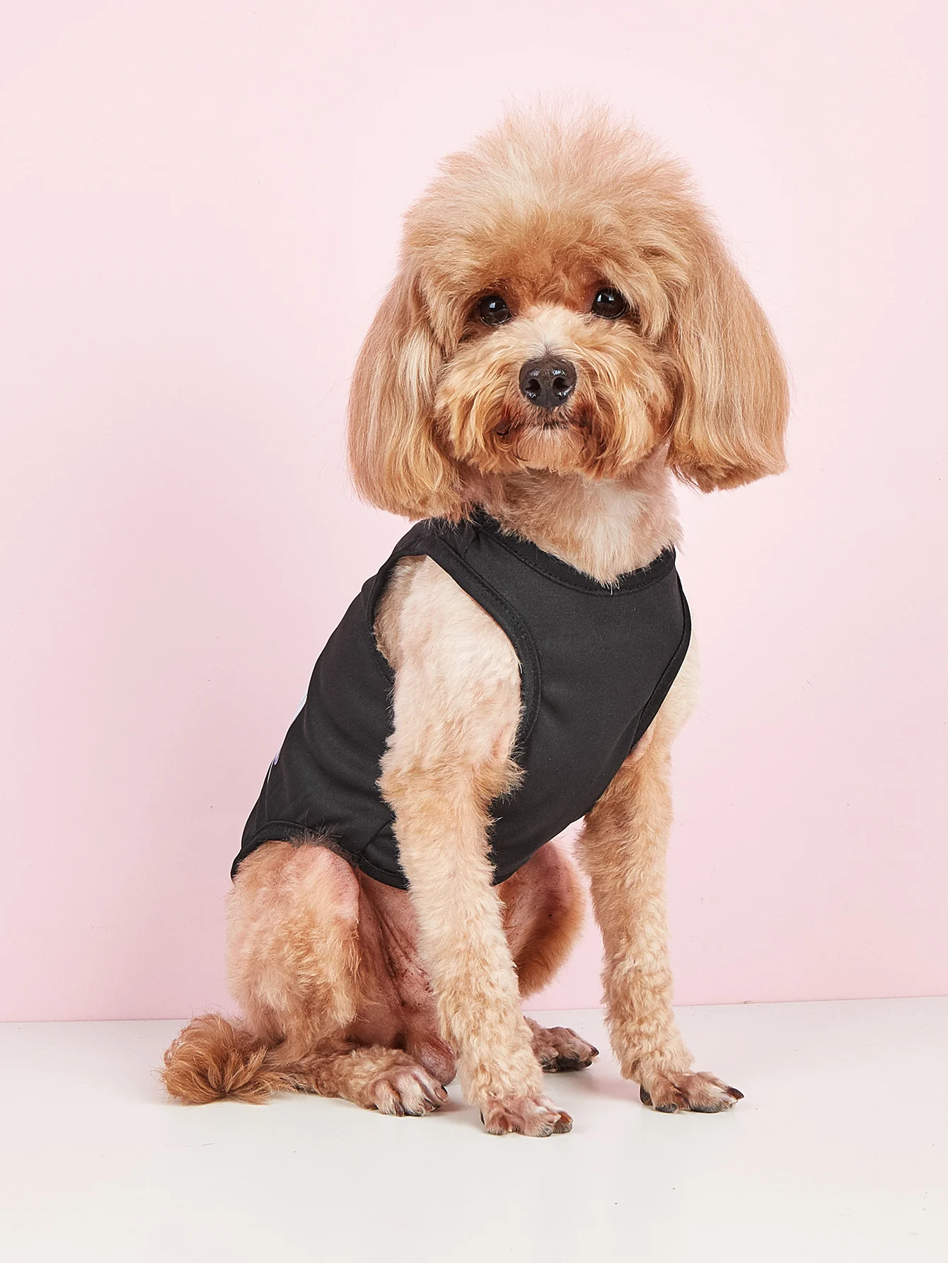 애완동물 옷, 개 고양이 조끼, 편안하고 통기성 있는 옷, 심플하고 넉넉한 프린트