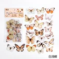 White butterfly