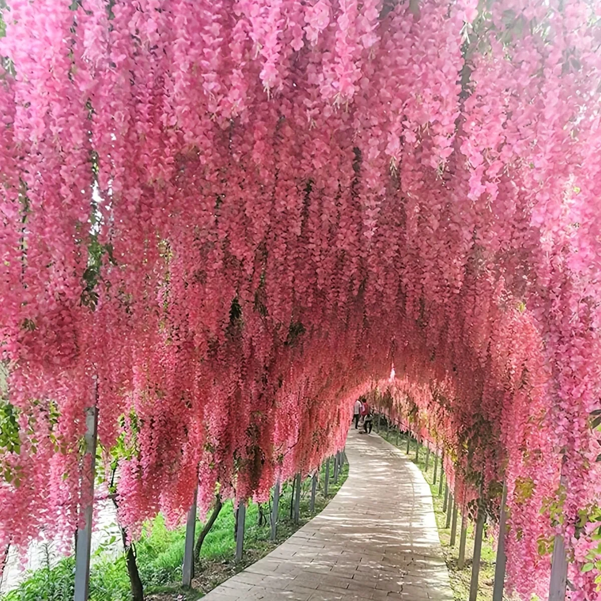 12pcs-Wisteria Artificial Flower Vine Belt Home Decoration