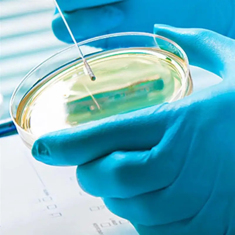 Petri Dishes 10Pcs Agar 60mm Petri Dishes Plastic Transparent With Lids Bacteria Culture Dish Biological Scientific