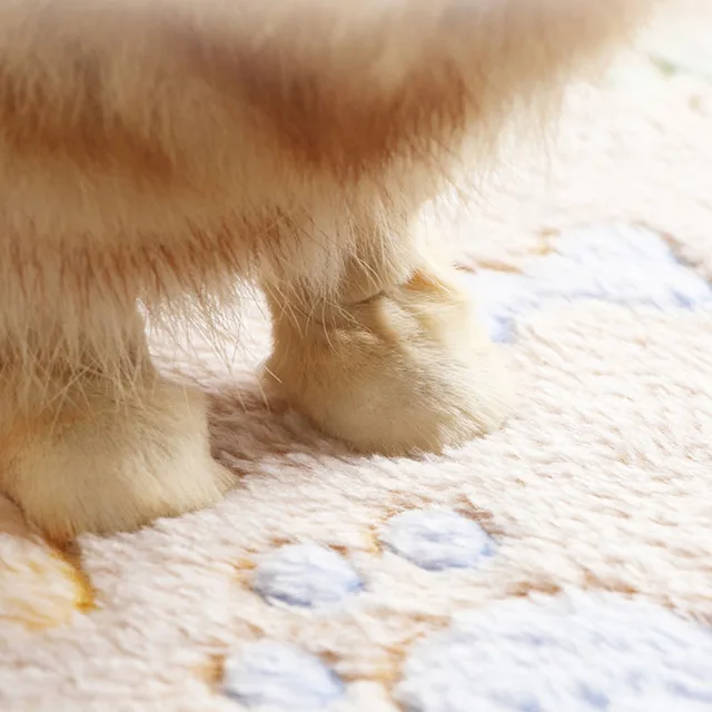 Winter Velvet Pet Sleeping Warm Blanket with Paw/Dot/Bone Pattern, Dog Cat Washing Towel, Fleece Soft Pet Blanket Pet Bed Mat 2