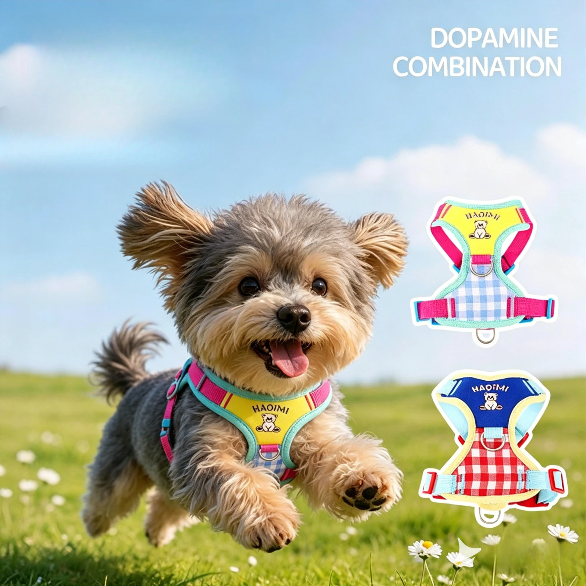 Dog Harness And Leash Set Unique Design Adjustable Vest For Small Dogs Outdoor Walking - New_voghion.com