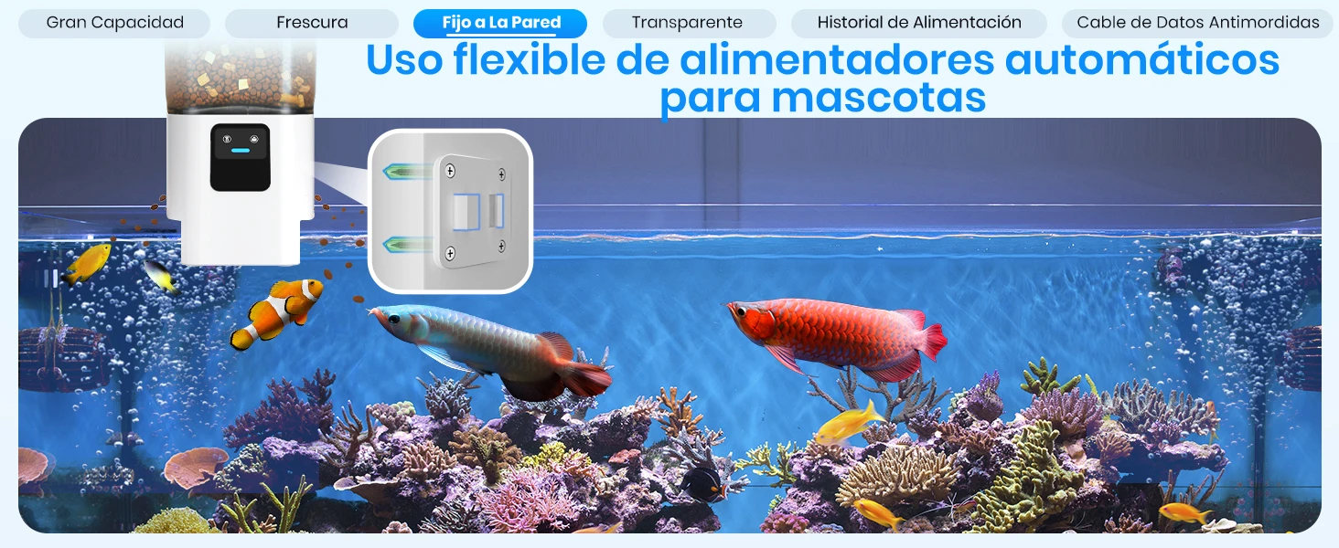 aplus content image