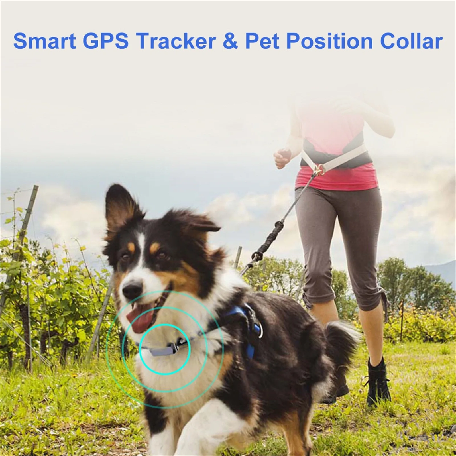 

Pet Gps Tracke, No Monthly Fee, Real-Time Tracking Collar Device, App Control For Dogs And Pet Activity Monitor(Black) Pet