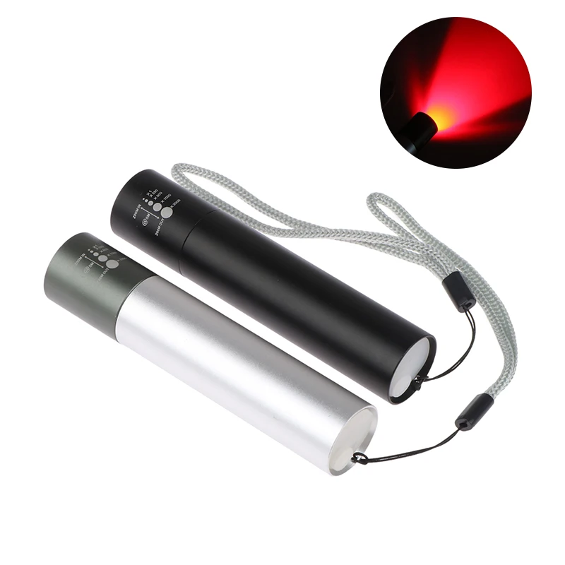 Portable Led Near Infrared Infra 850nm Handheld Medical Lamp 660nm LED Red Light Therapy torch Therapy Lamp USB Direct Charging