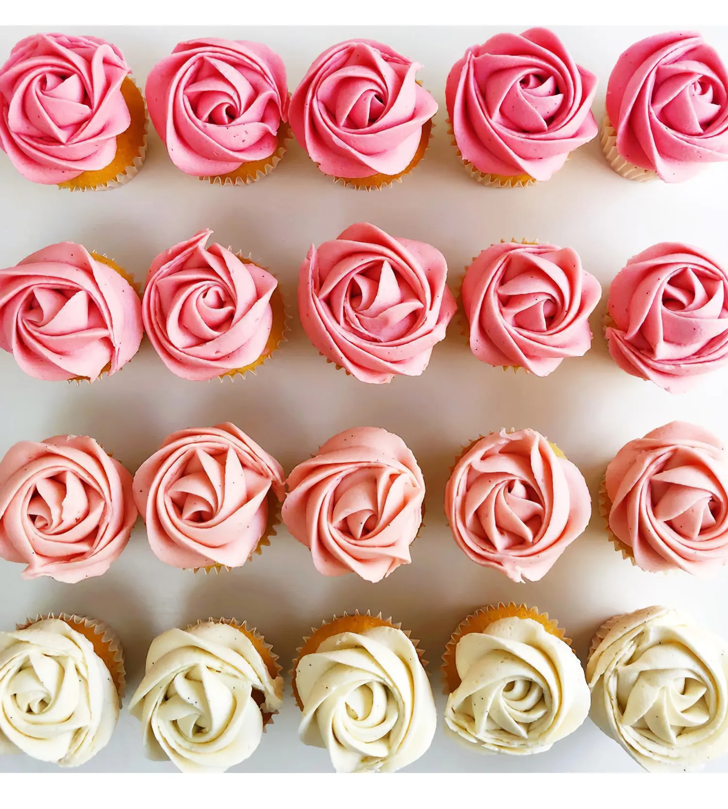 Stainless Steel Pastry Nozzle Icing Piping Nozzle Baking Pastry Tips Cupcake Cake Decorating Tools # 2D Baking Accessories 1PCS cake decorating tip set,baking supplies,cake icing nozzles,baking nozzle set,cake decorating nozzle set