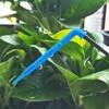 Greenhouse Garden 50PCS Bend Drip Arrow Dripper Micro Drip Irrigation Kit Emitter fit 3/5mm Hose Watering Saving Dripper Flowers 4