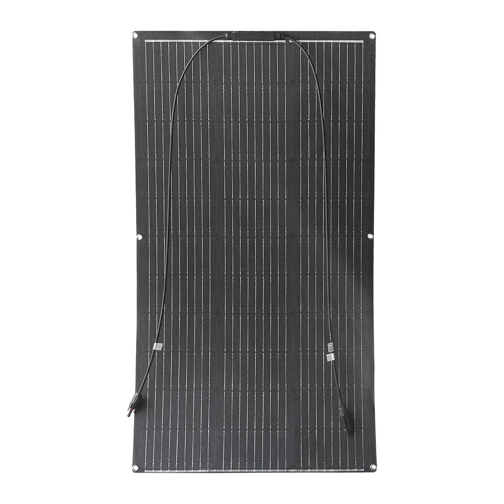 ETFE 100W panel
