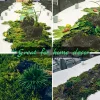 Artificial Moss for Potted Plant 4