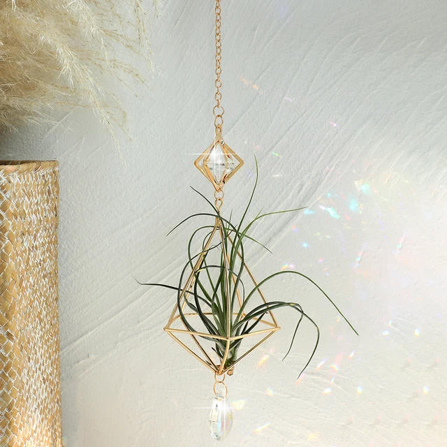 Arany Függő Légikórtartó Tillandsia Air Növények Fogas Geometriai Himmeli Fern Kijelző Ültető Kristály Otthoni Dekorációval - Image 6