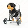 Andador para perros ancianos con silla de ruedas para las extremidades delanteras