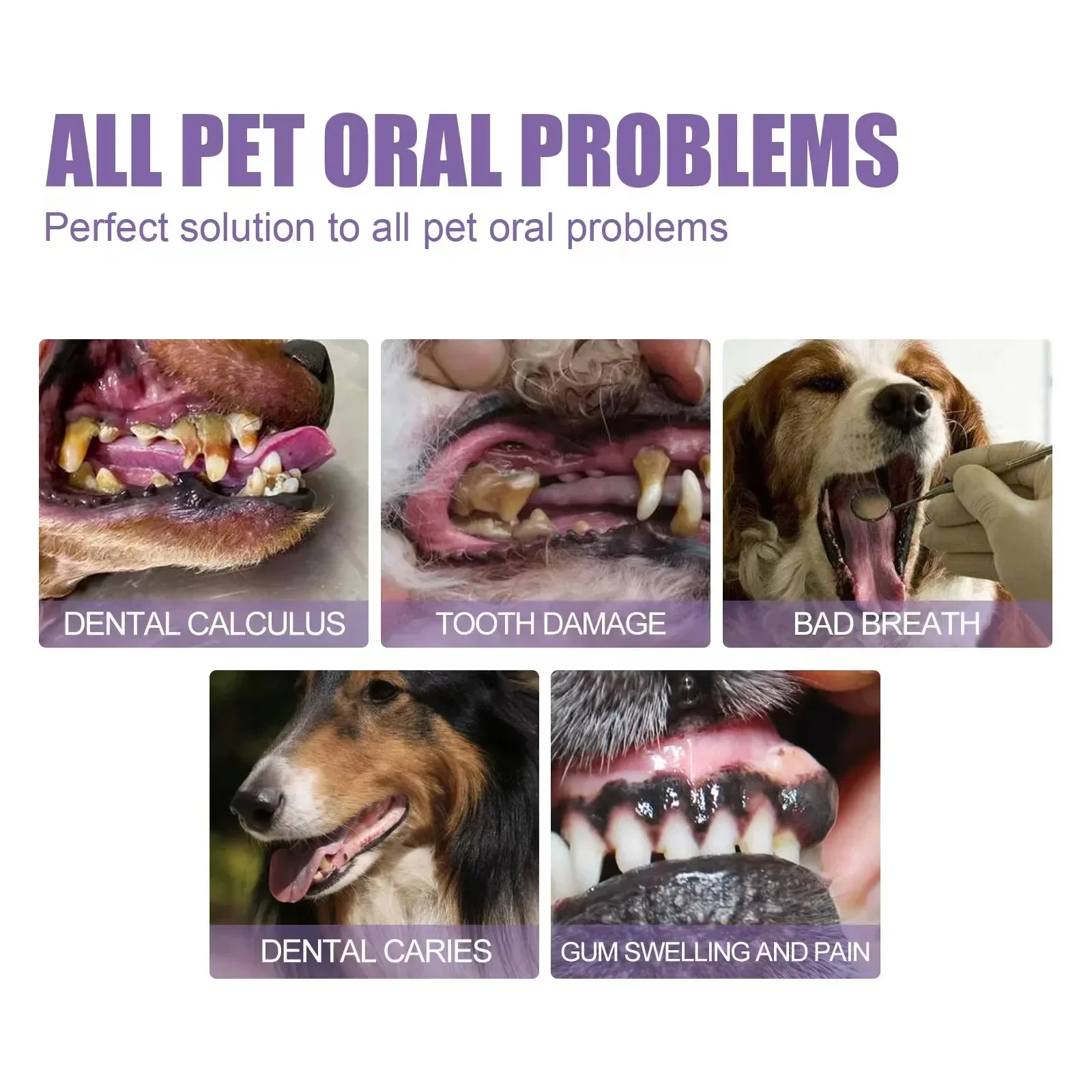 Pet Teeth Cleaning Pen Suitable for dogs and cats Remove bad breath Pet Oral Care