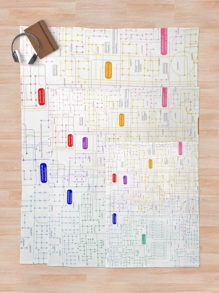 ��� ��� ������ ���, ������ �Ӹ�ī�� ���