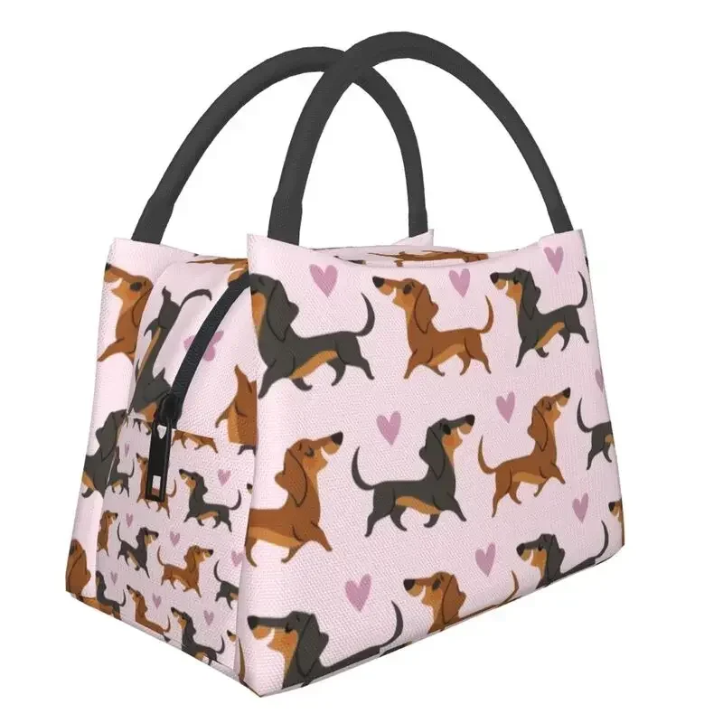 

Cute Dachshund Pattern Insulated Lunch Bag for Women Badger Sausage The Wiener Dog Cooler Thermal Food Lunch Box Hospital Office