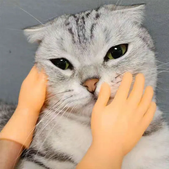 Cat fun toy Small gloves Cat finger Sleeve mini hand model silicone small gloves Cat massage tools Pet cat toy Halloween gift 4